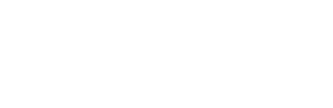 Ilumax